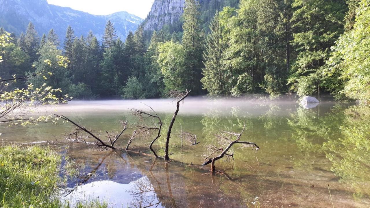 Haus Pilz Daire Obertraun Dış mekan fotoğraf